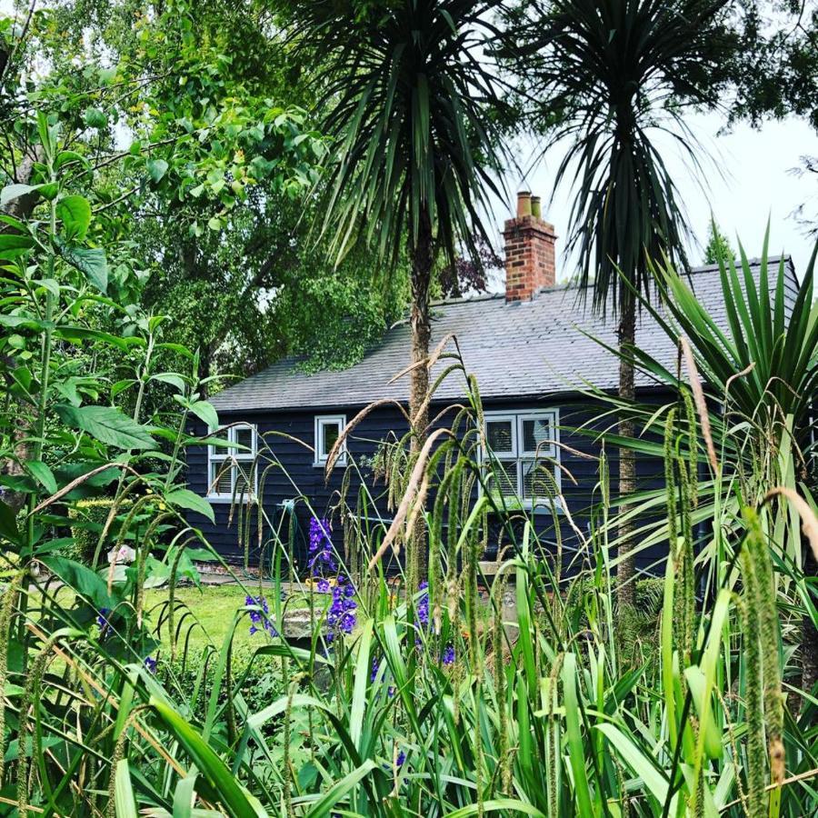 Thompsons Cottage Beverley Exterior foto